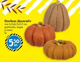 TEDI Dovleac decorativ Ofertă
