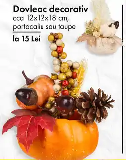 TEDI Dovleac decorativ Ofertă