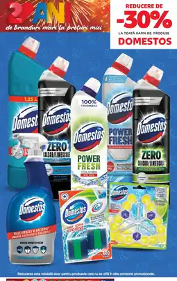 Kaufland DOMESTOS Ofertă