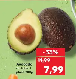 Kaufland Avocado Ofertă