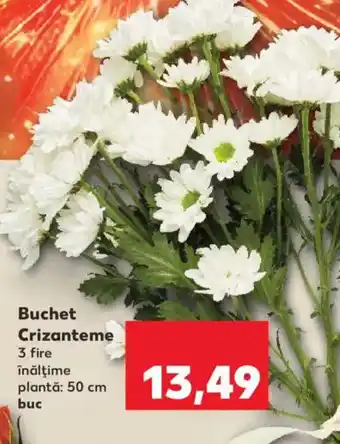 Kaufland Buchet Crizanteme Ofertă