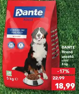Kaufland DANTE Hrana uscată Ofertă