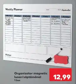 Kaufland Organizator magnetic lunar/săptămânal Ofertă