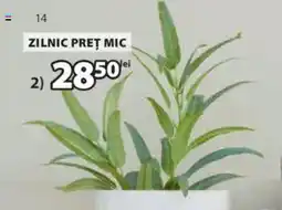 JYSK LARSSON plantă artificială Ofertă