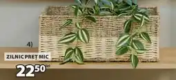JYSK ASGAR plantă artificială Ofertă
