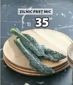 JYSK GERNER tavă decorativă Ofertă