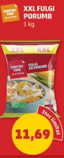 Penny Xxl fulgi porumb Ofertă