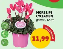 Penny More lips cyclamen Ofertă