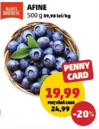 Penny Afine Ofertă