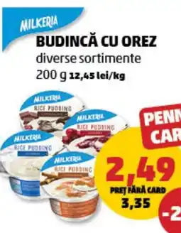 Penny Budincă cu orez Ofertă