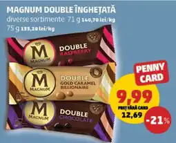 Penny Magnum double înghețată Ofertă