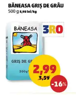Penny Băneasa griş de grâu Ofertă