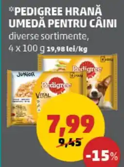 Penny Pedigree hrană umedă pentru câini Ofertă