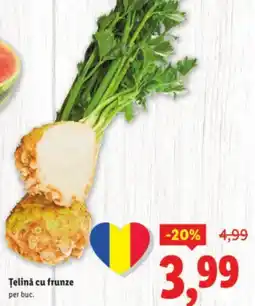 Lidl Telină cu frunze Ofertă