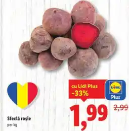 Lidl Sfeclă roșie Ofertă