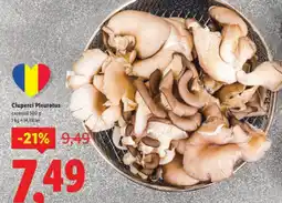 Lidl Ciuperci Pleurotus Ofertă