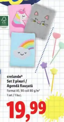 Lidl Crelando Set 2 pixuri / Agendă flauşată Ofertă