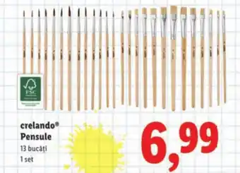Lidl Crelando Pensule Ofertă