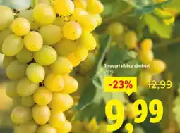 Lidl Struguri albi cu sâmburi Ofertă
