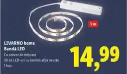 Lidl LIVARNO home Bandă LED Ofertă