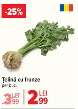 Carrefour Market Telină cu frunze Ofertă