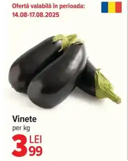 Carrefour Market Vinete Ofertă