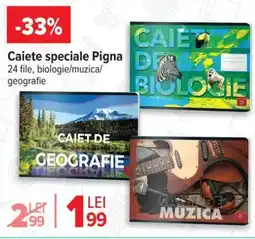 Carrefour Market Caiete speciale Pigna Ofertă