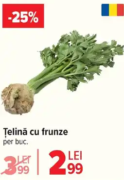 Carrefour Telină cu frunze Ofertă