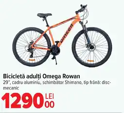 Carrefour Bicicletă adulți Omega Rowan Ofertă