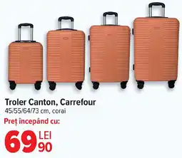 Carrefour Troler Canton, Carrefour Ofertă
