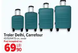 Carrefour Troler Delhi, Carrefour Ofertă