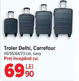 Carrefour Troler Delhi, Carrefour Ofertă