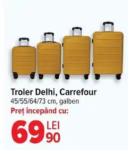 Carrefour Troler Delhi, Carrefour Ofertă