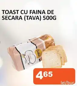 Unicarm Toast cu faina de secara (tava) Ofertă