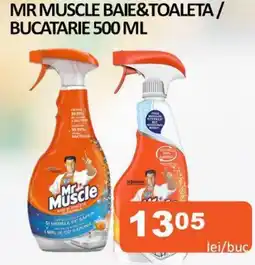 Unicarm Mr muscle baie&toaleta / bucatarie Ofertă