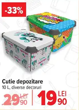 Carrefour Cutie depozitare Ofertă