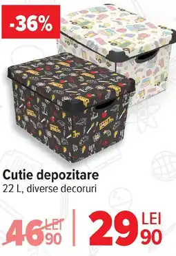 Carrefour Cutie depozitare Ofertă