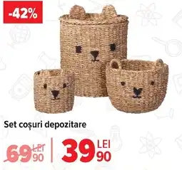 Carrefour Set coşuri depozitare Ofertă