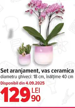 Carrefour Set aranjament, vas ceramica Ofertă