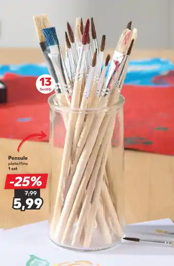 Kaufland Pensule Ofertă
