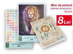 Kik Bloc de picturǎ Ofertă