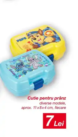Kik Cutie pentru prânz Ofertă