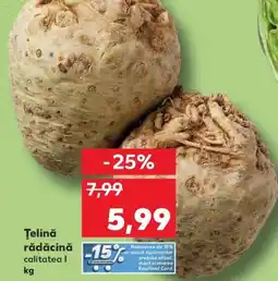 Kaufland Ţelină rădăcină Ofertă