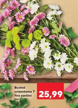 Kaufland Buchet crizanteme 7 fire santini Ofertă