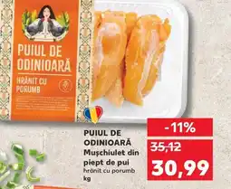 Kaufland PUIUL DE ODINIOARĂ Muschiulet din piept de pui Ofertă