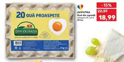 Kaufland AVIPUTNA Ouă din ogradă categoria Ofertă