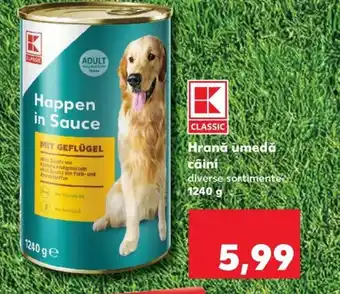 Kaufland Hrană umedă câini Ofertă