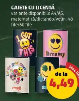 Penny Caiete cu licență Ofertă