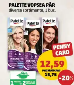 Penny Palette vopsea păr Ofertă