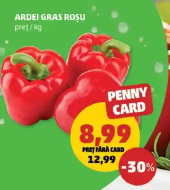 Penny Ardei gras rosu Ofertă